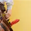 Handyman repair service in Albuquerque, NM for home fixes and improvements